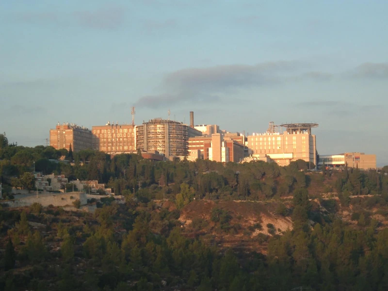 Le Shin Bet enquête sur des purées Prino contenant des substances anesthésiantes