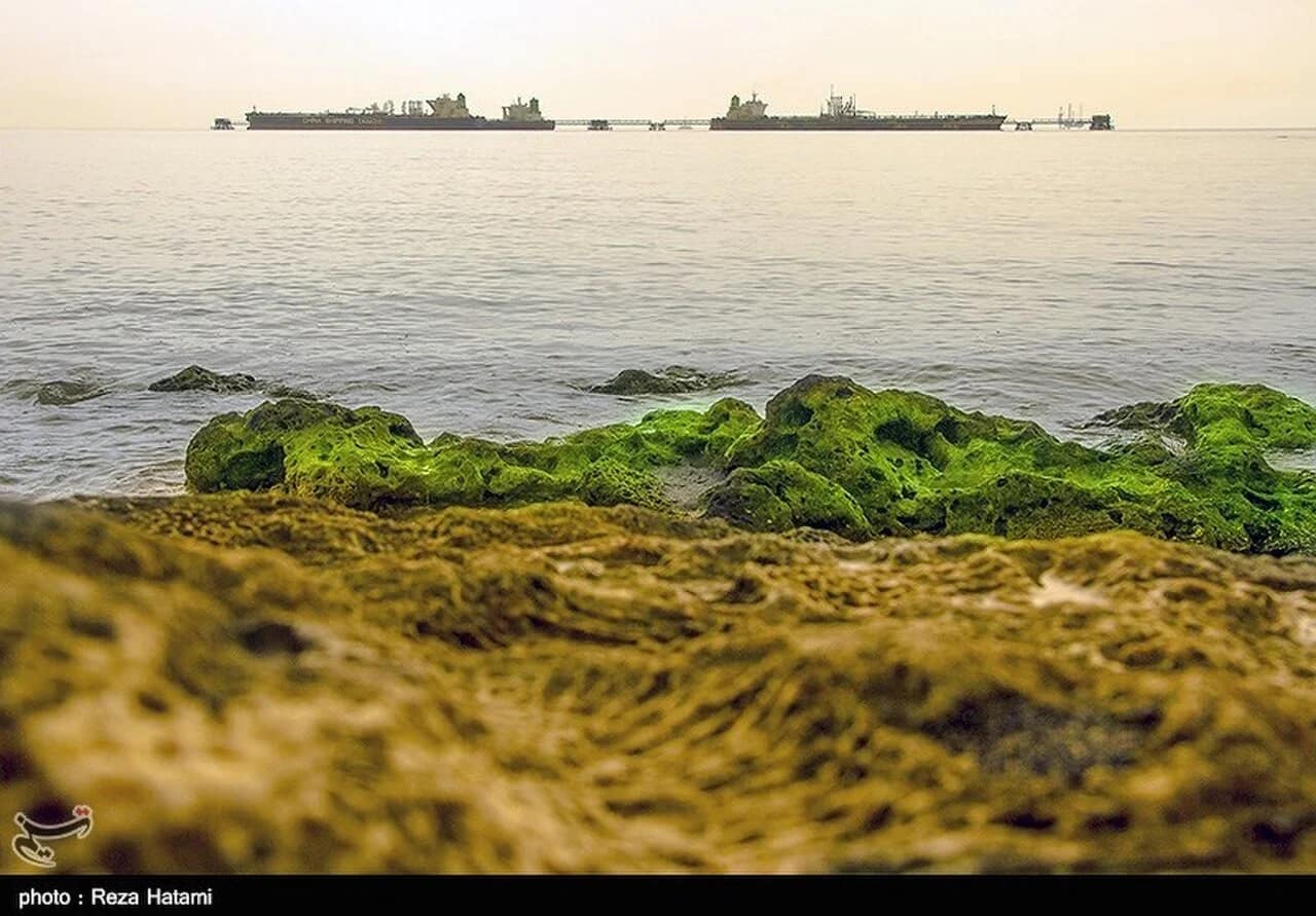 Les forces américaines ont ouvert le feu sur un pétrolier vers l'île de Kharg (Iran)