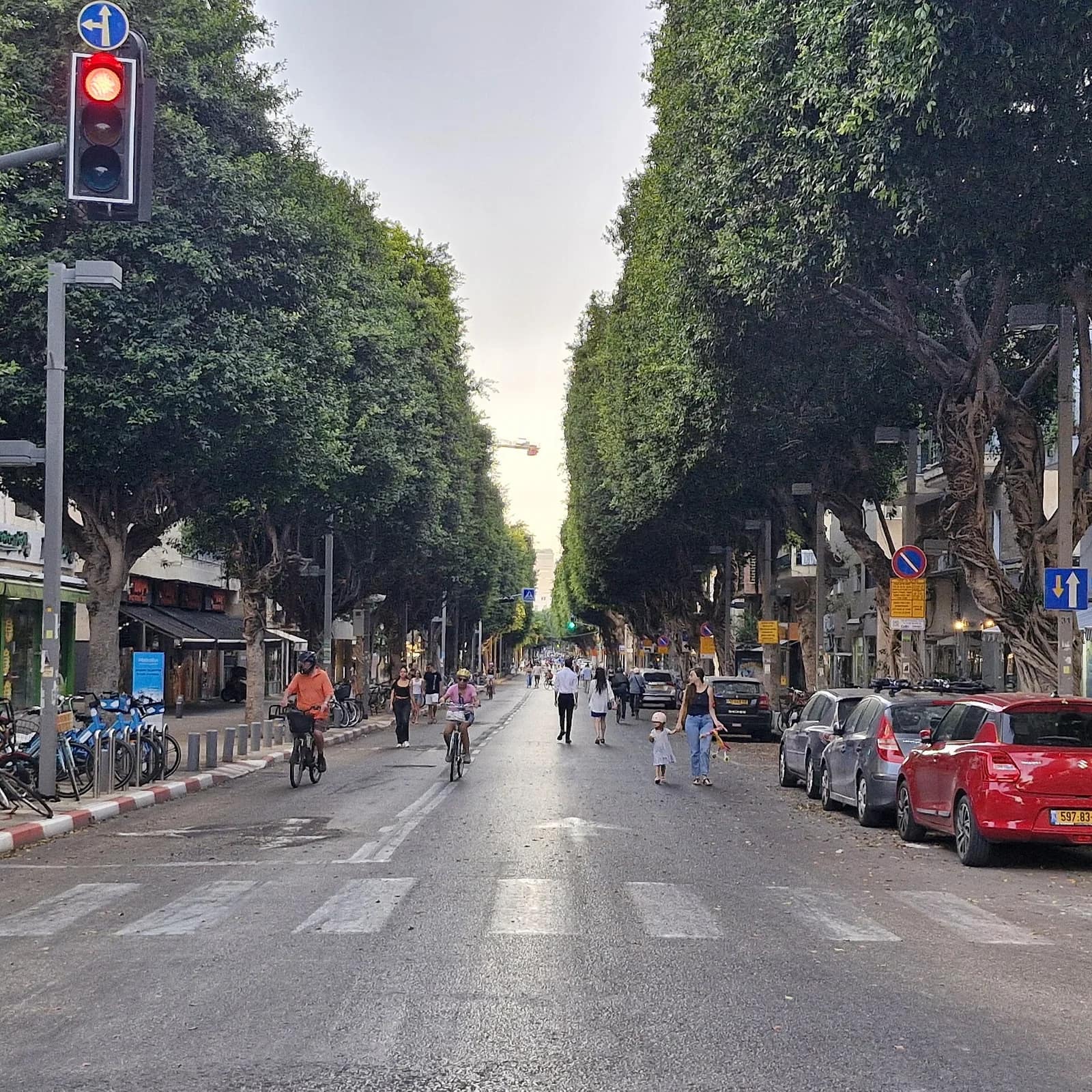 Un bus percute un arbre à Tel Aviv, 6 blessés dont plusieurs en état critique