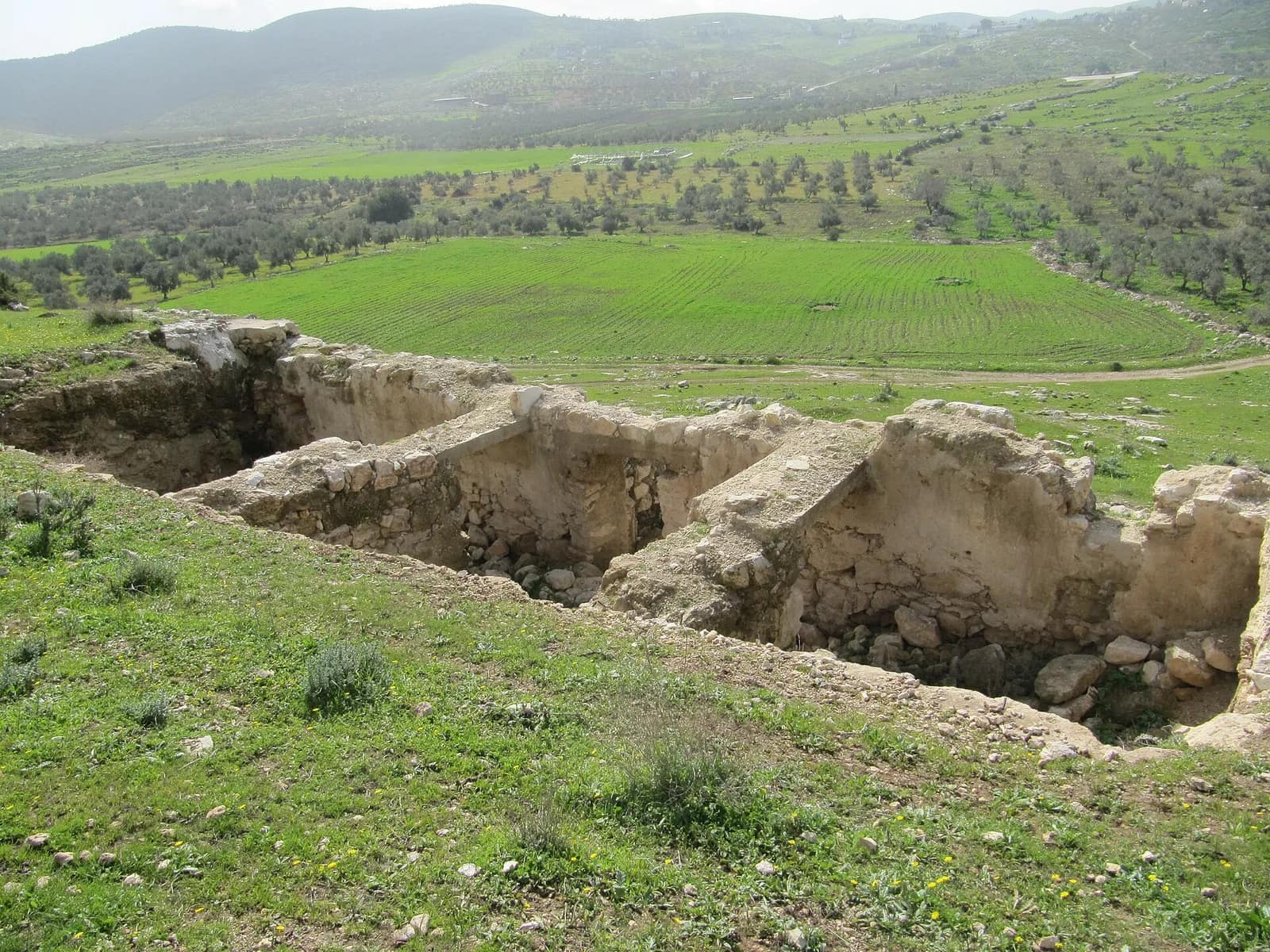 Une nouvelle colonie « Vallée de Dotan » fondée en Samarie du Nord par des réservistes